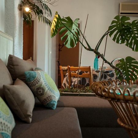 Paradise View Apartment Palaiontsiflikion Bagian luar foto